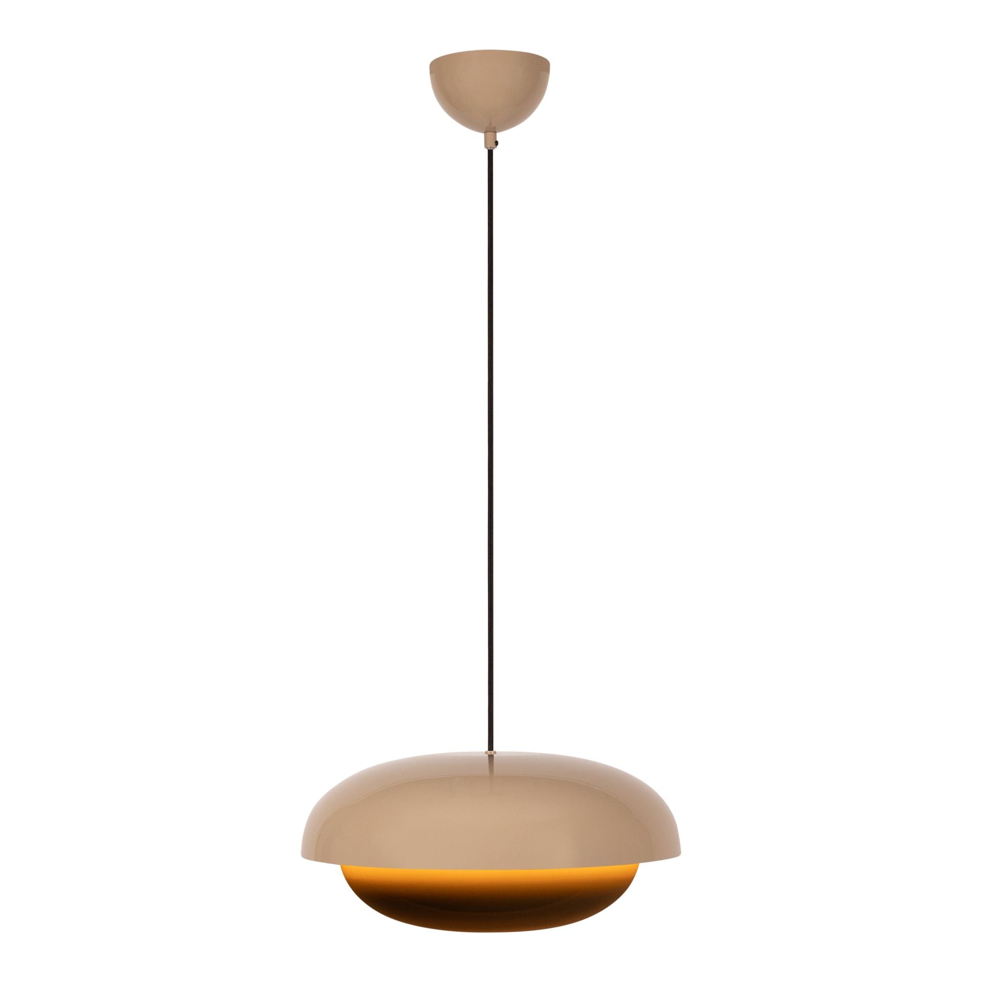 20043554.jpg