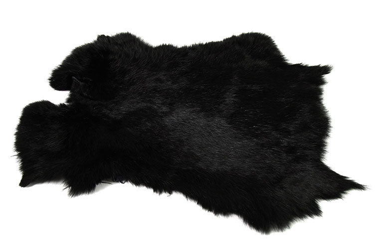 16076486.jpg