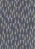 16786028.jpg
