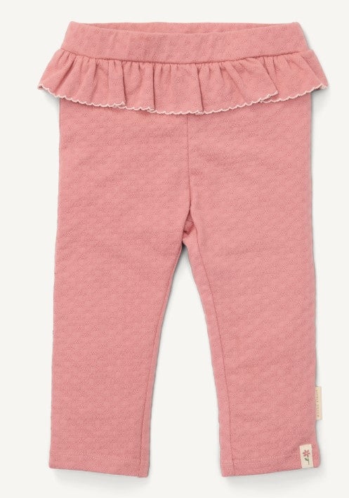 18844331.jpg