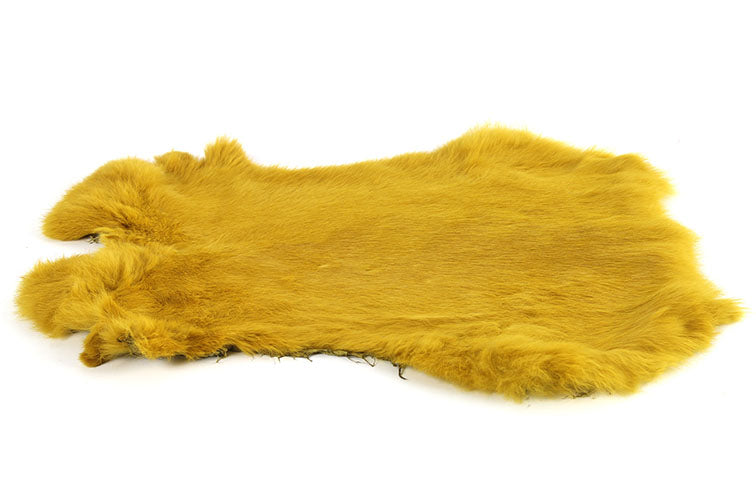 16533350.jpg