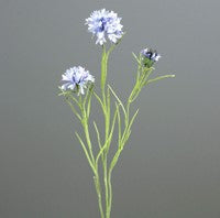 18859801.jpg