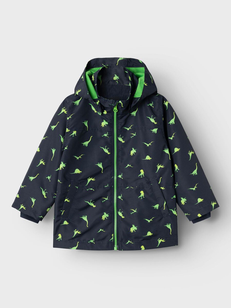 18425457.jpg
