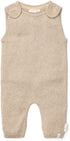 20005584.jpg