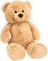 20005415.jpg