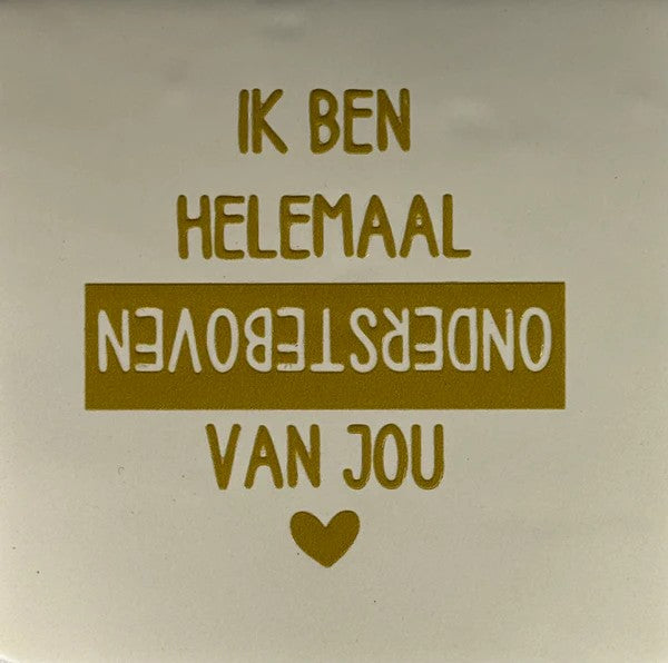 20046561.jpg