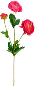 20031157.jpg