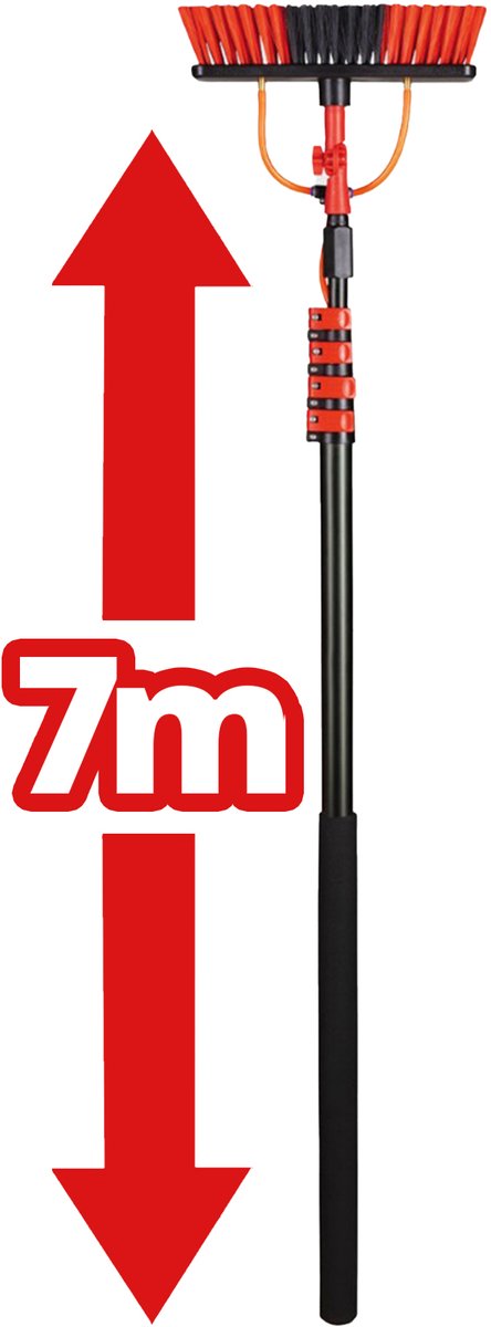 20020964.jpg