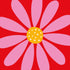 20047784.jpg
