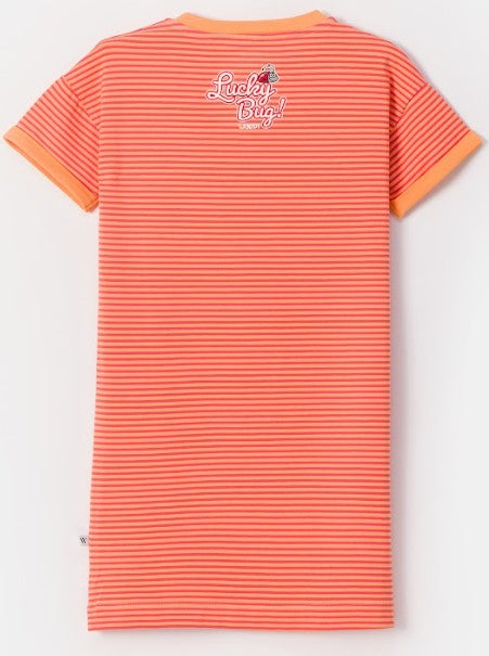 18795059-2.jpg