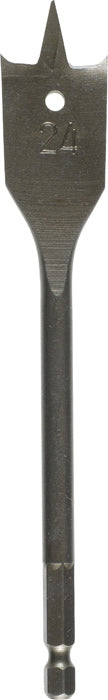 16981069.jpg