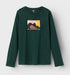 18602575.jpg