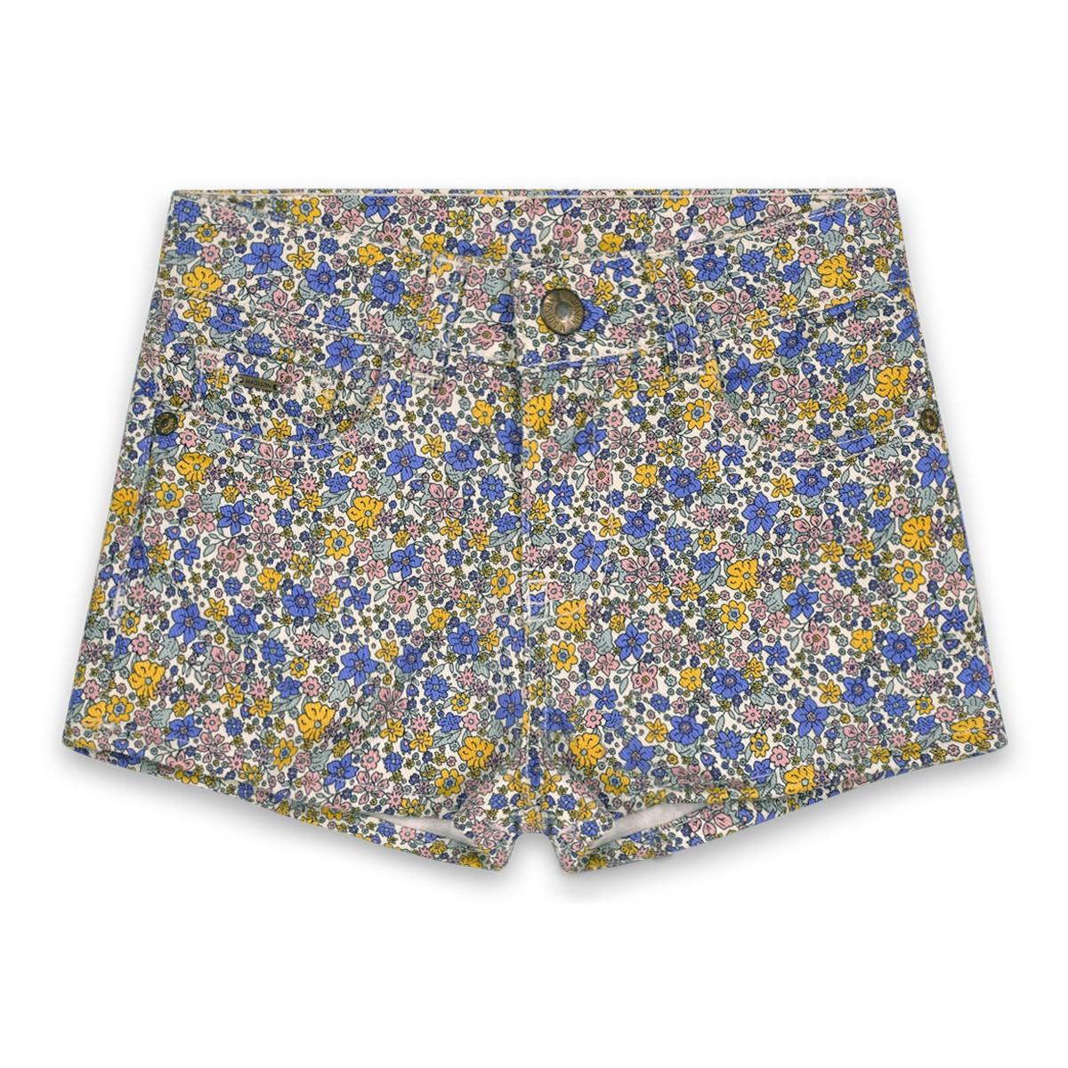 18033166.jpg