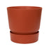 17133186.jpg
