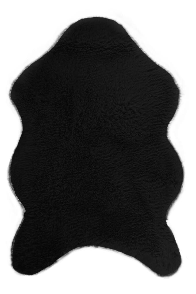 17454050.jpg