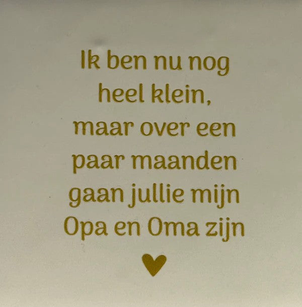 20046565.jpg