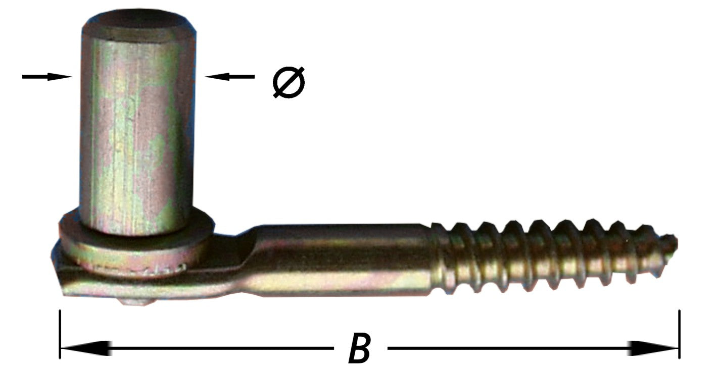 750552.jpg