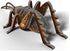 18876114-1.jpg