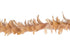 16984512.jpg