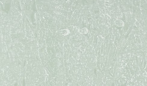 18787807-2.jpg