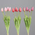 20036318.jpg