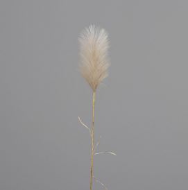 18620580.jpg