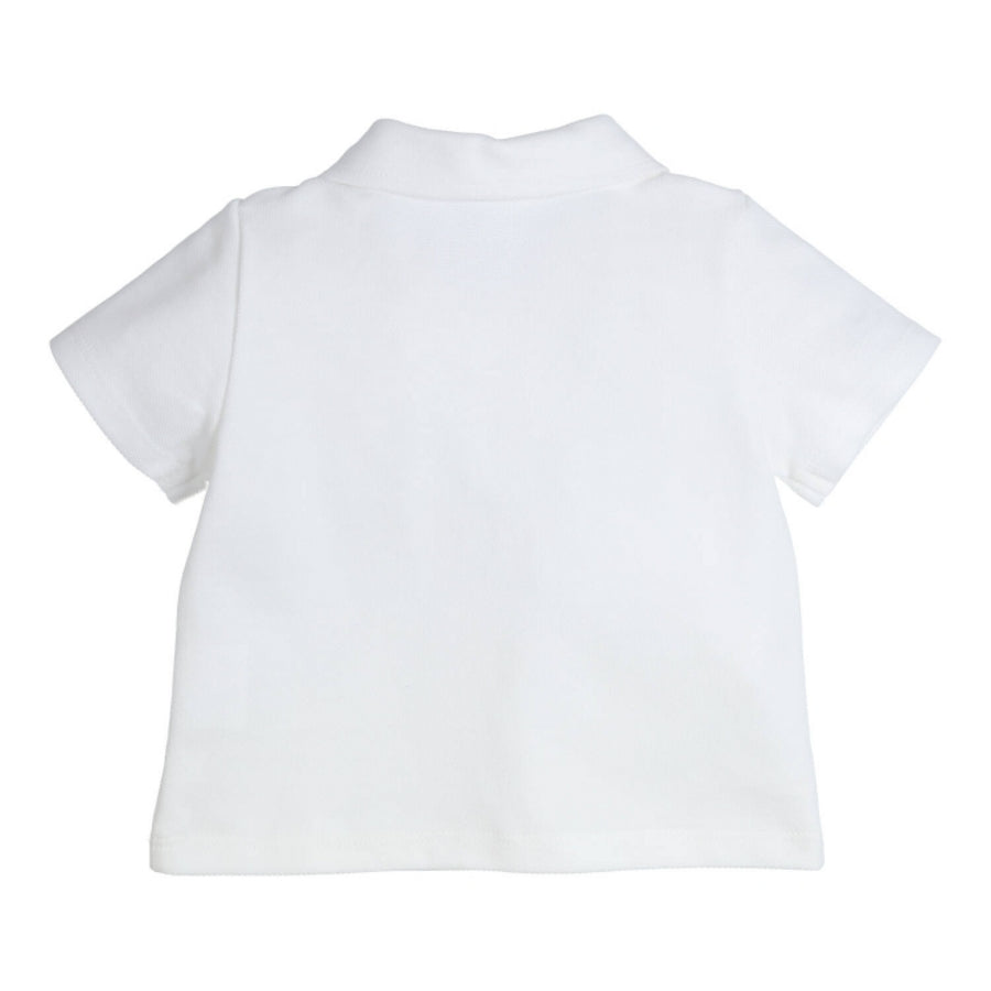 18380954-1.jpg