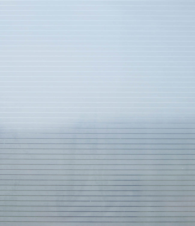 13318509.jpg