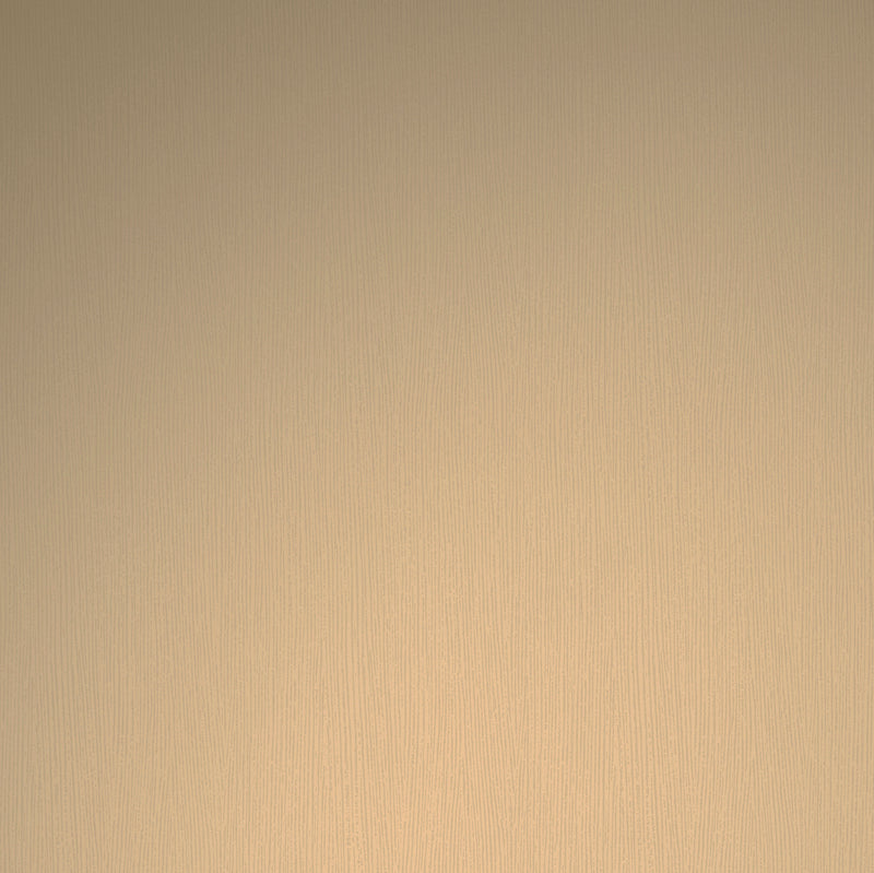 14557158.jpg