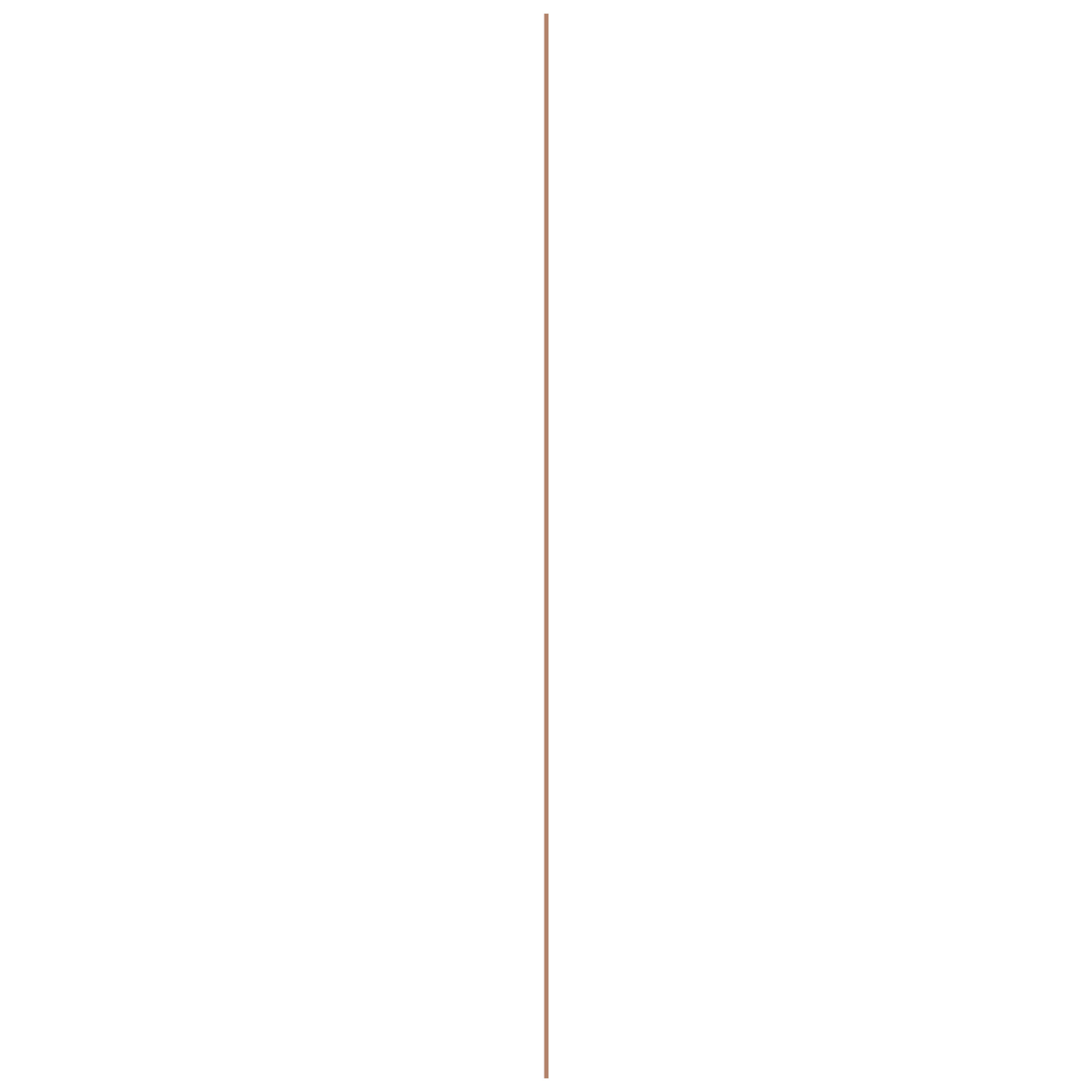 14998959-5.jpg