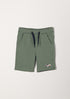 17639947.jpg