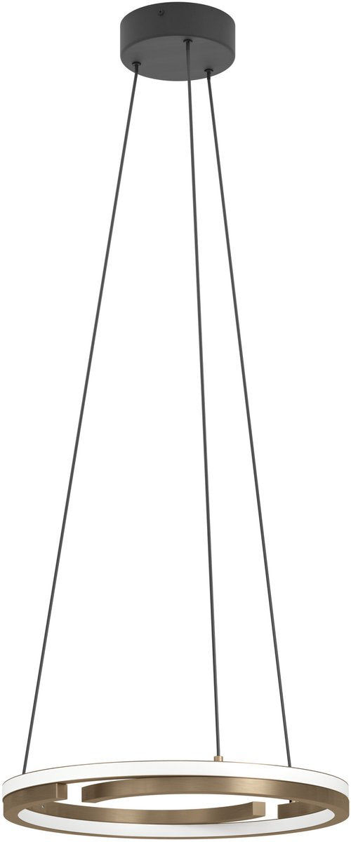 20024238.jpg