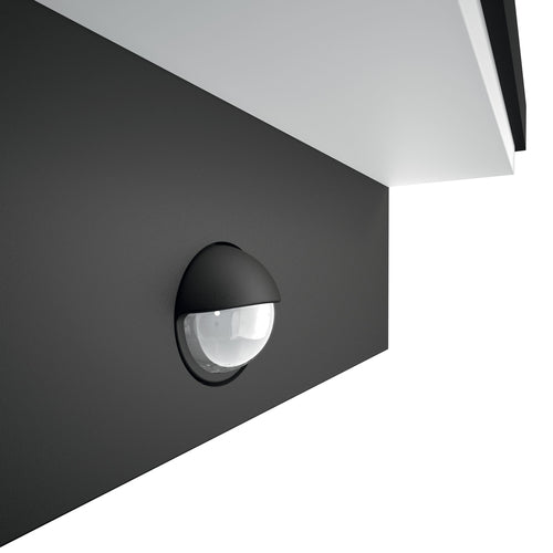 15917500-3.jpg