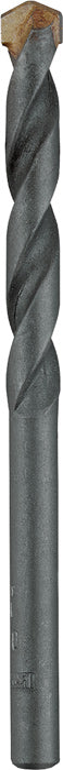 16981760.jpg