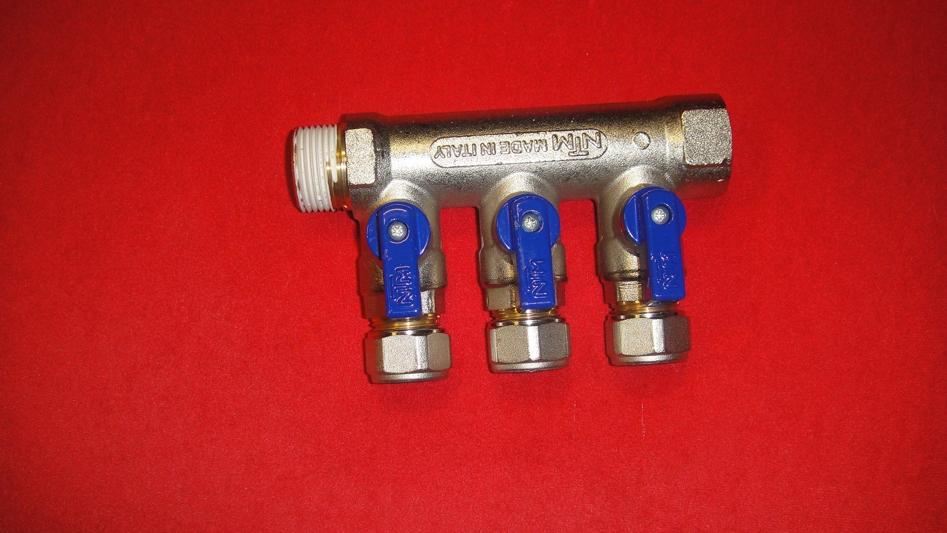 594419.jpg