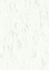 17182962.jpg