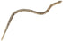 16866001-1.jpg