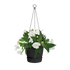 16242337-1.png