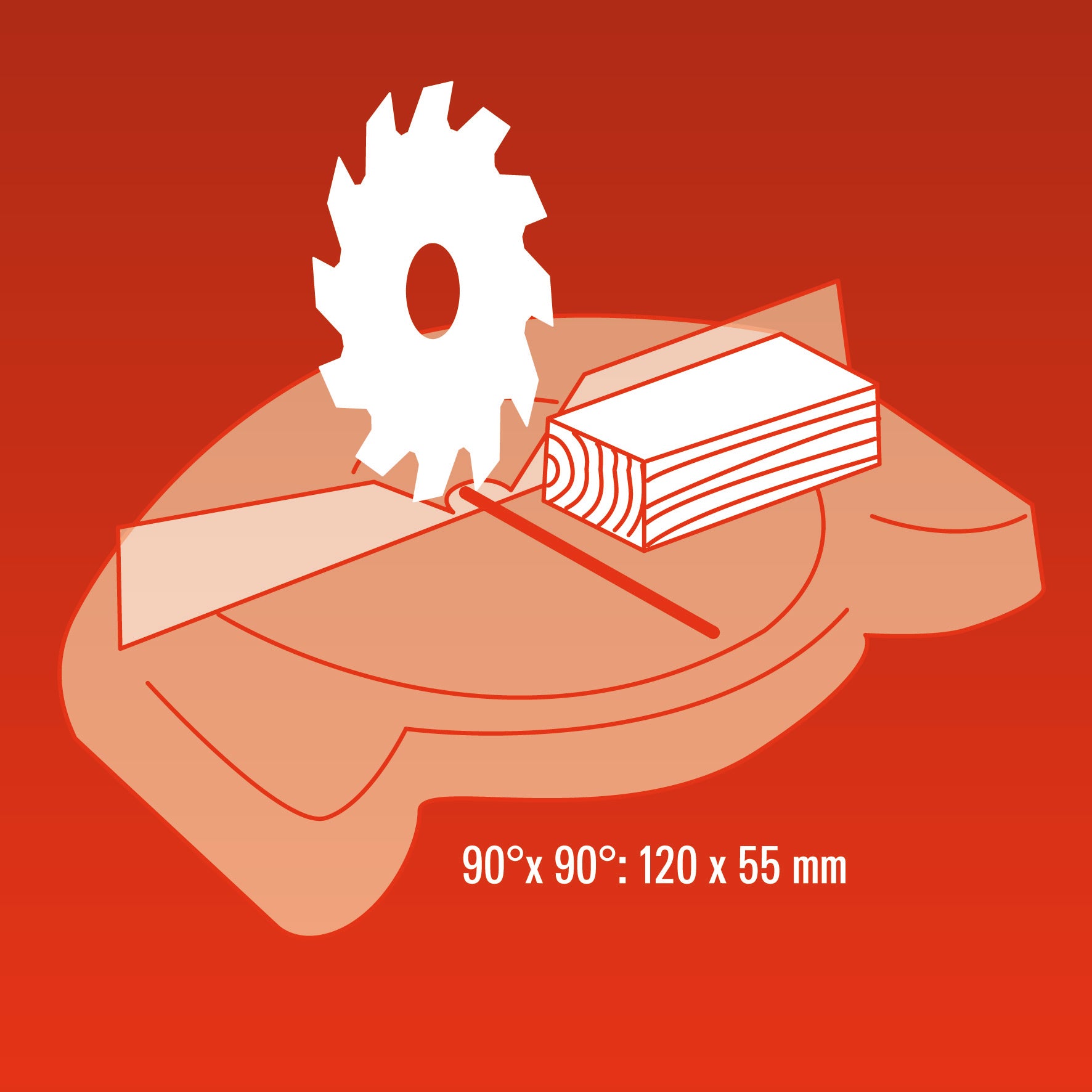 17237996-9.jpg