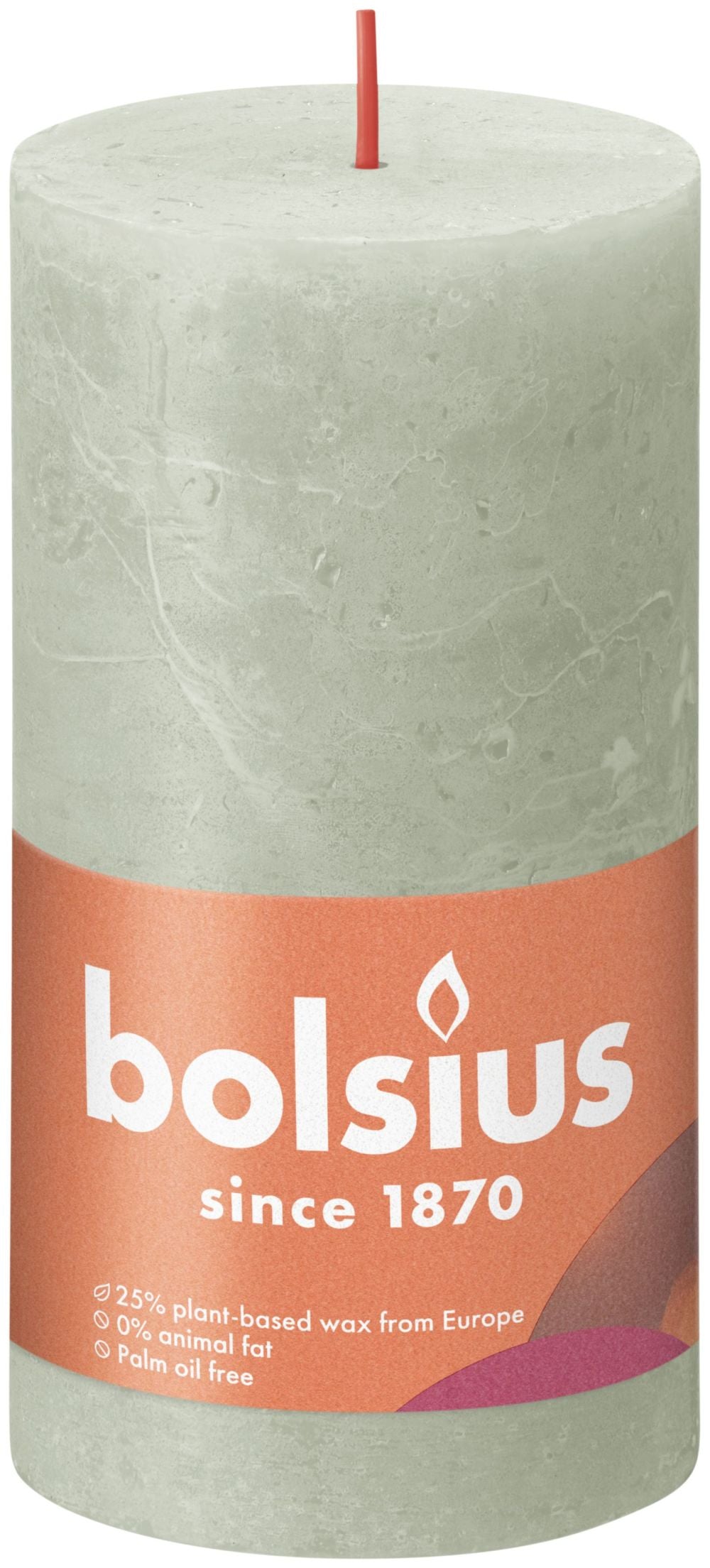 17381491.jpg