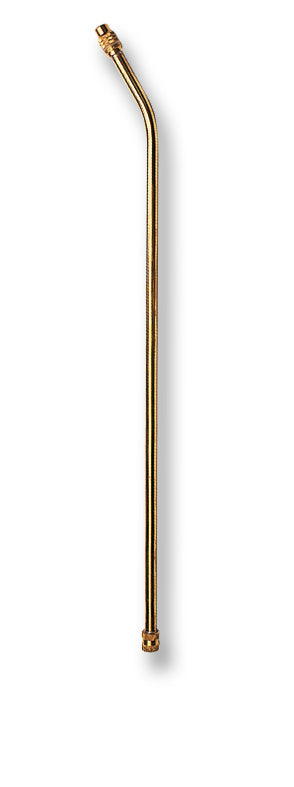 15461995.jpg