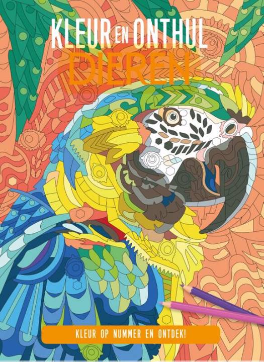 17884776.jpg