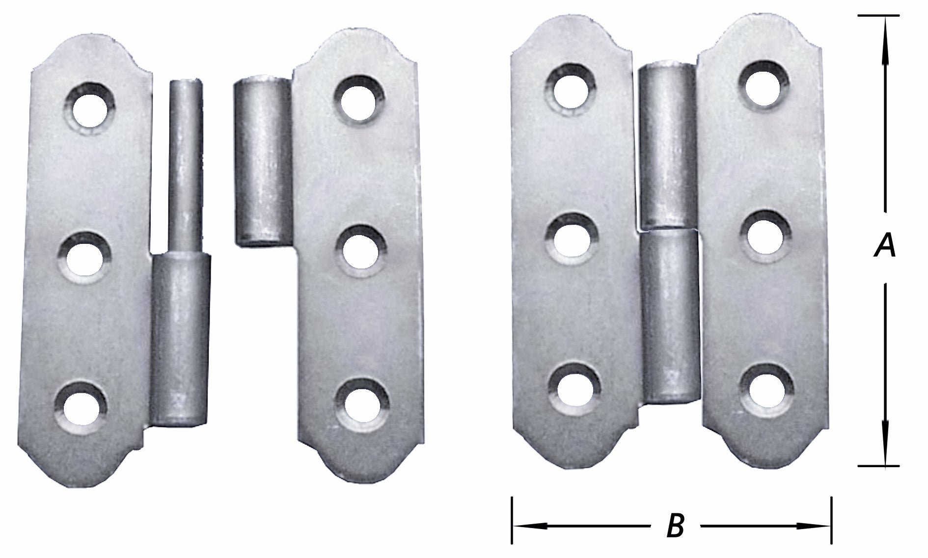 350204.jpg