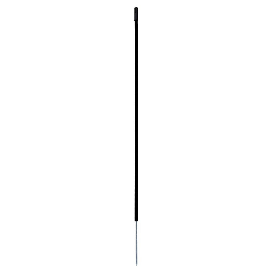 17252540.jpg
