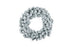 17892238.jpg