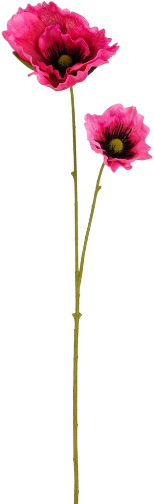20031160.jpg