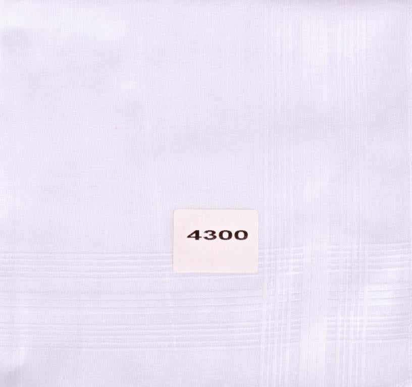 11852630.jpg