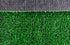 16255230.jpg