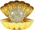 20005669.jpg