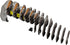 18533585-2.jpg